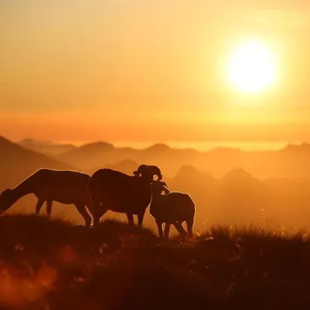 2 Pièces, Centre De Cauterets, Proche Télécabine, Local Ski, Bien équipé - Fr-1-401-110 Apartamento Cauterets